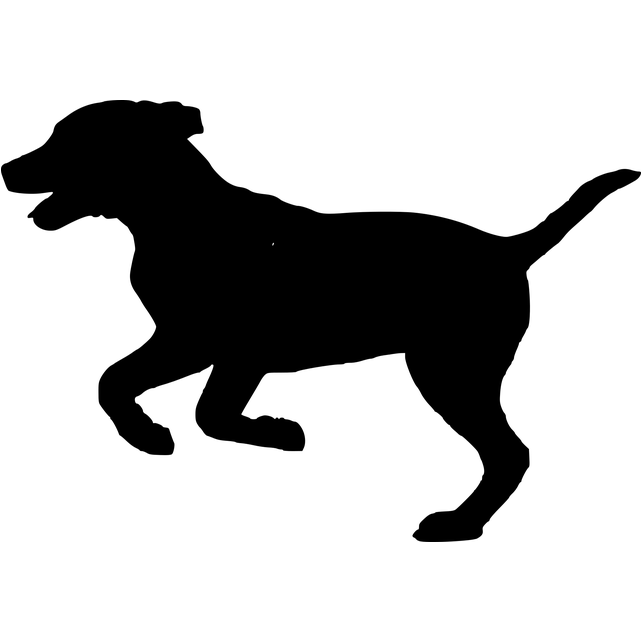 Hildegard CBD-Öl 5% für Hunde (Futtermittel)